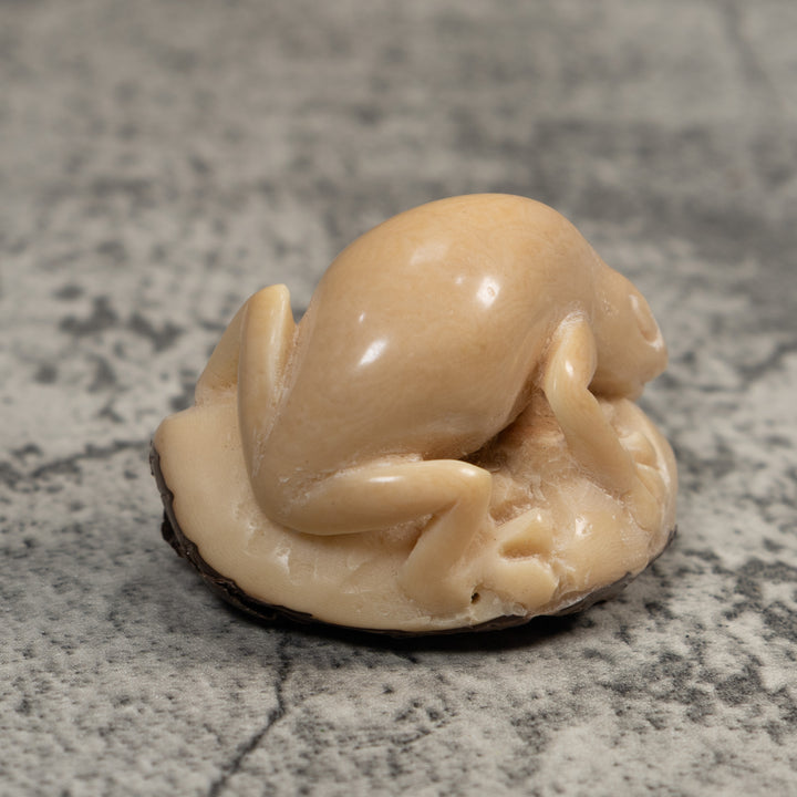 Vintage White Natural Frog Tagua Carving