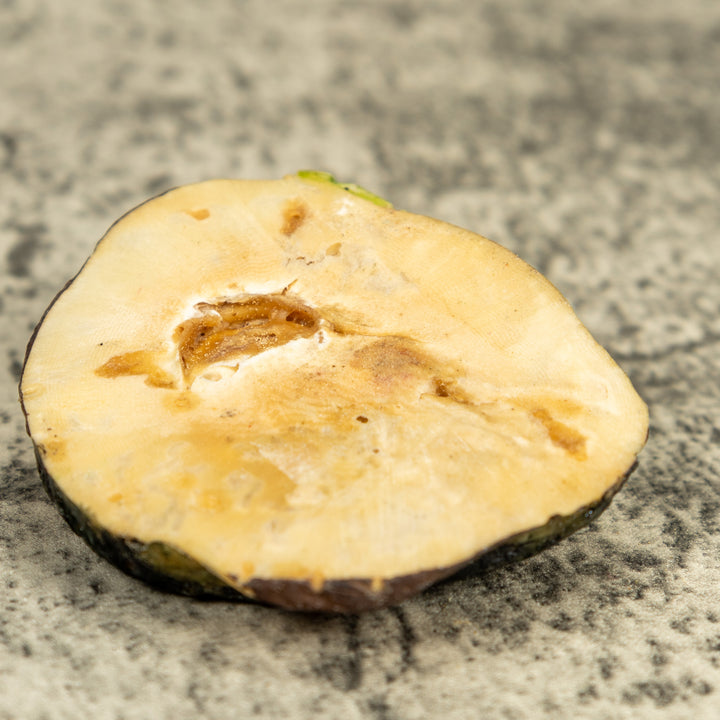 Green Poison Dart Frog Under Leaf Tagua Carving