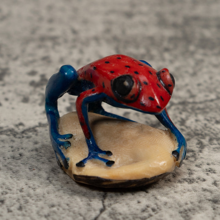 Red And Blue Undercut Poison Dart Frog Tagua Carving