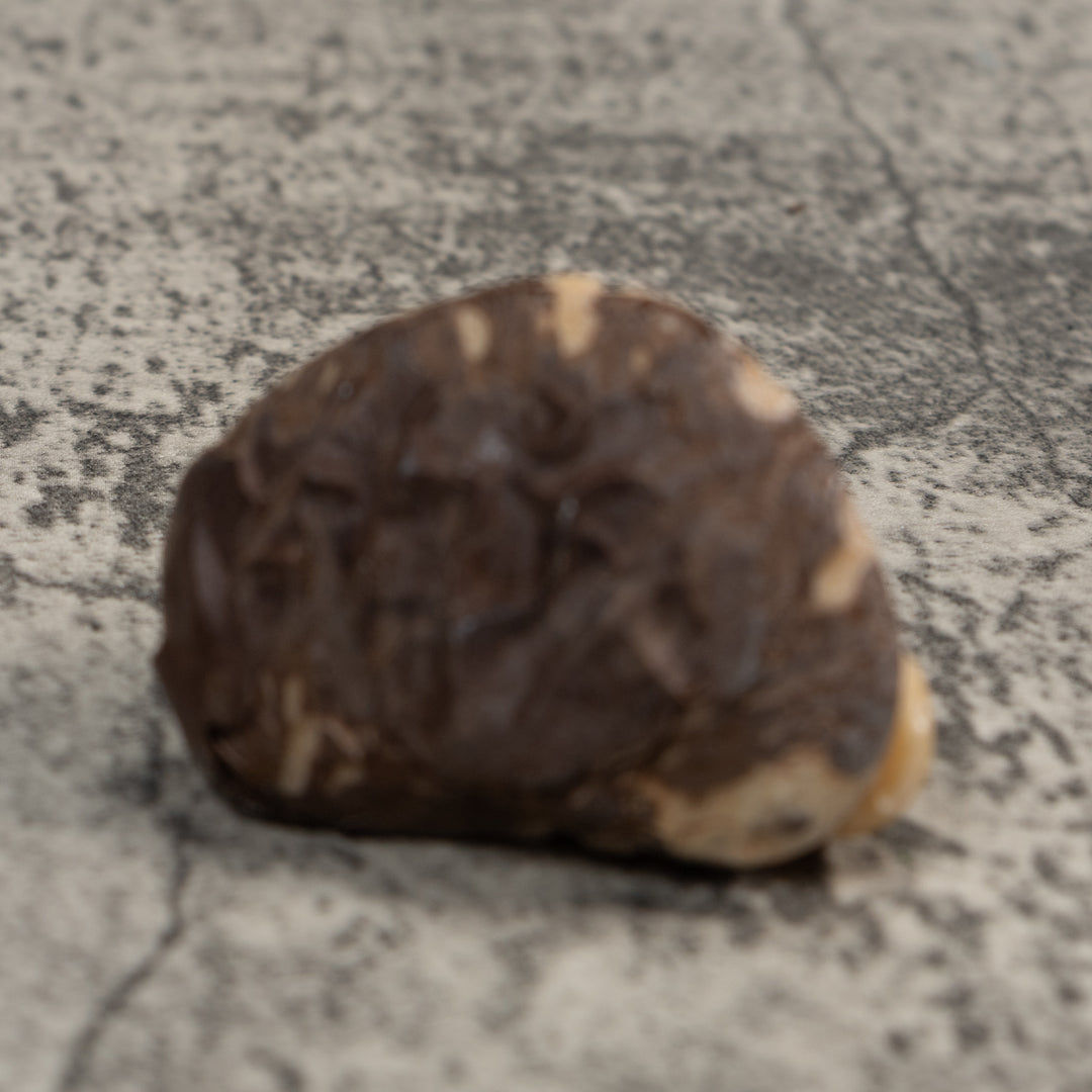 Vintage White Natural Frog Tagua Carving