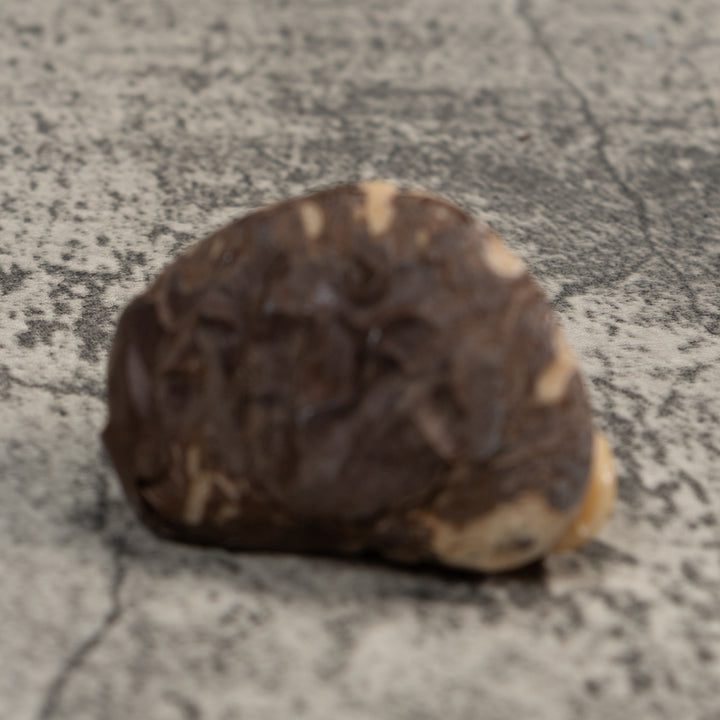 Vintage White Natural Frog Tagua Carving