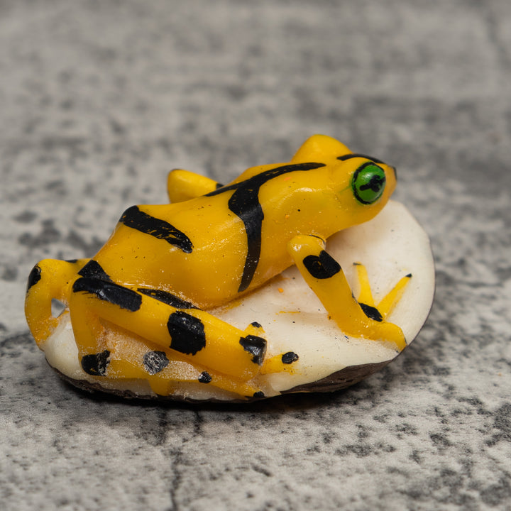 Golden Frog Tagua Carving