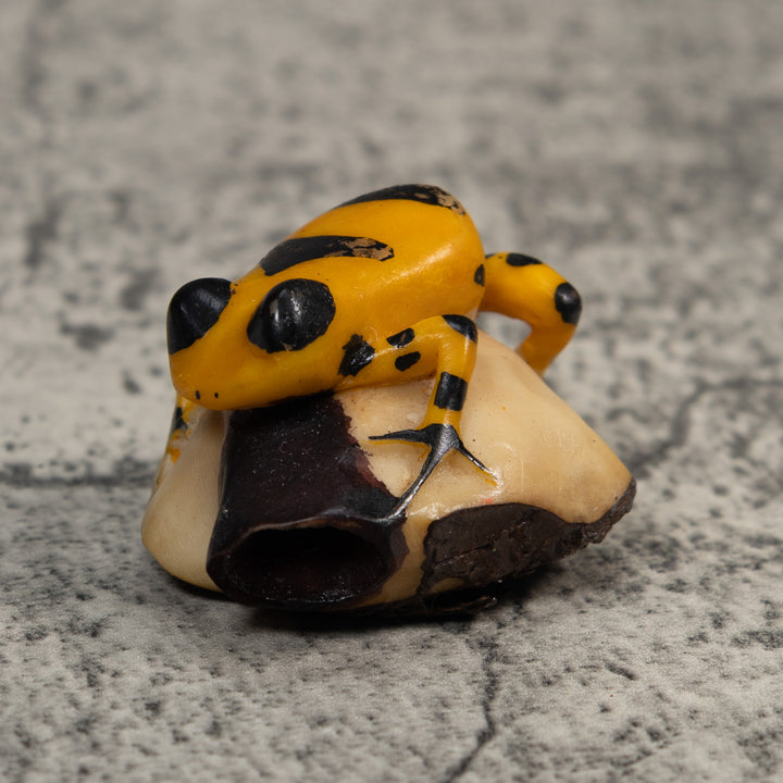 Gold And Black Poison Dart Frog Tagua Carving