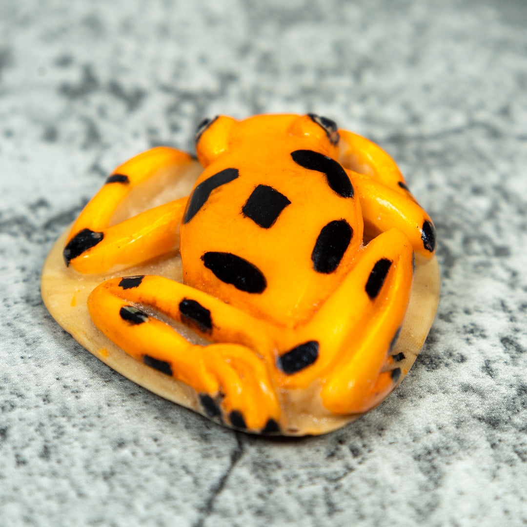 Golden Frog Tagua Carving