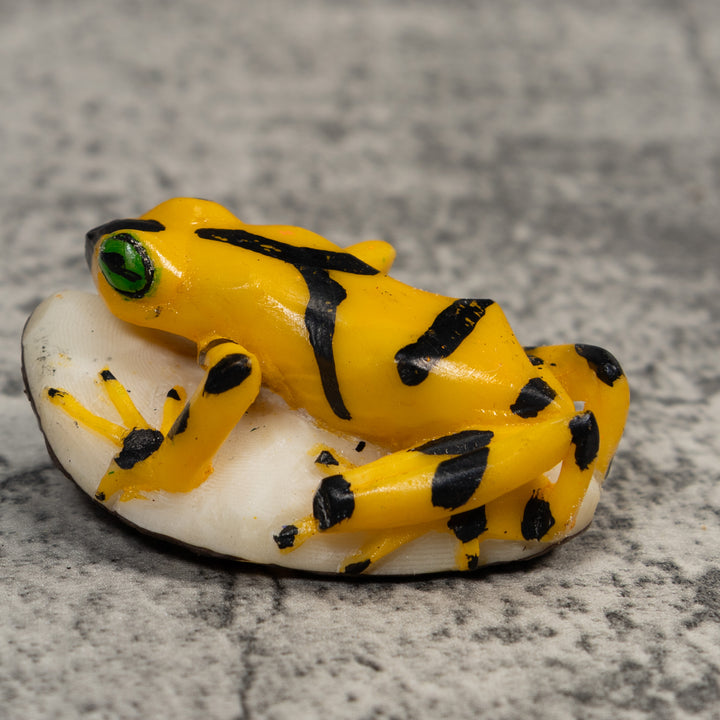 Golden Frog Tagua Carving