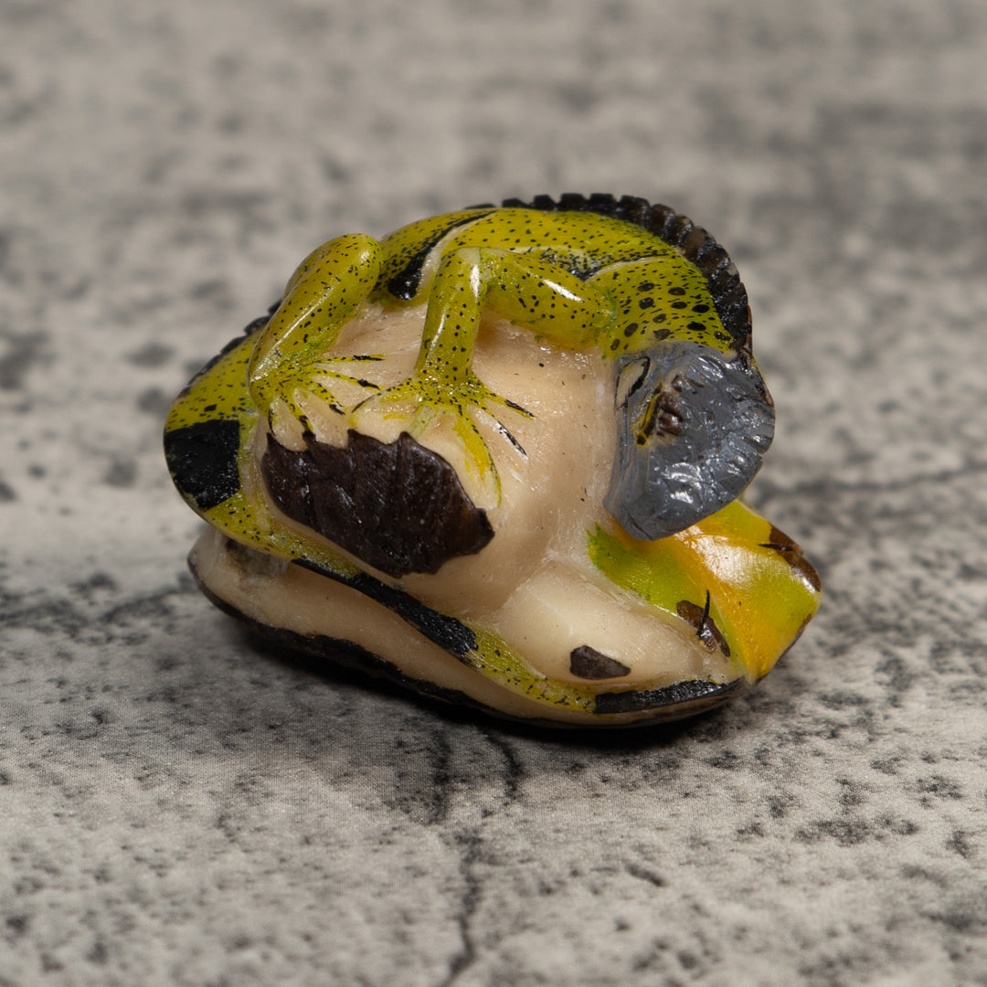 Green And Black Iguana Lizard Tagua Carving