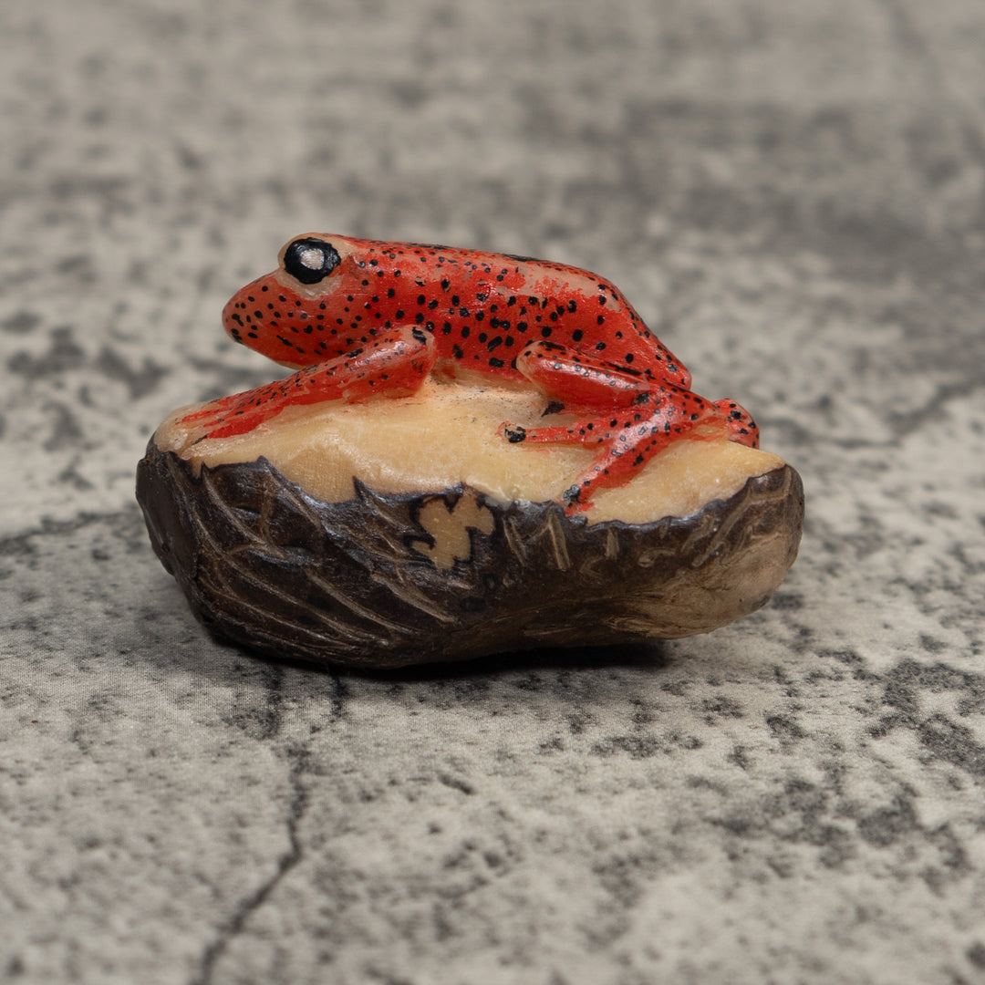 Vintage Red And Black Poison Dart Frog Tagua Carving