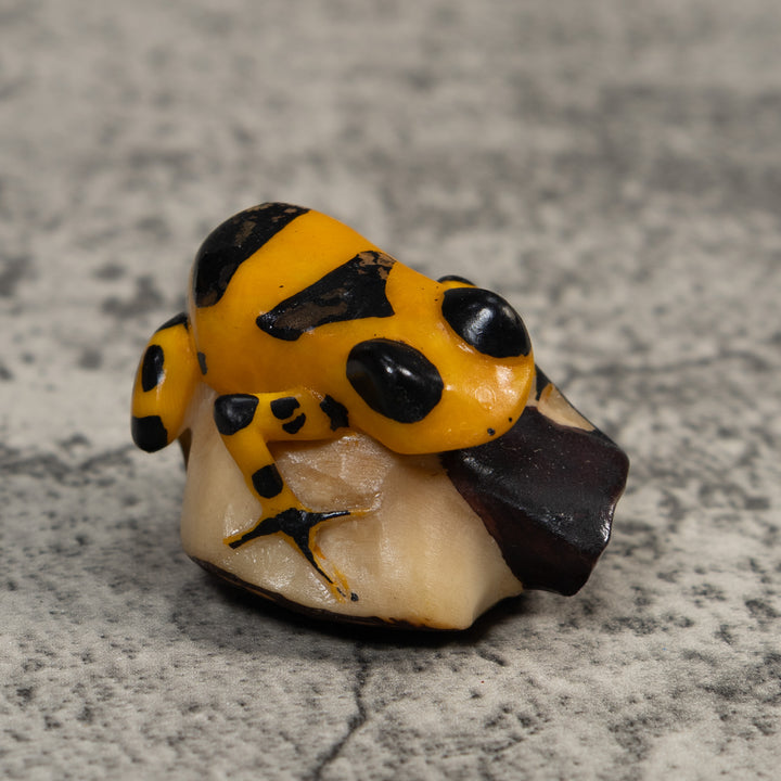Gold And Black Poison Dart Frog Tagua Carving