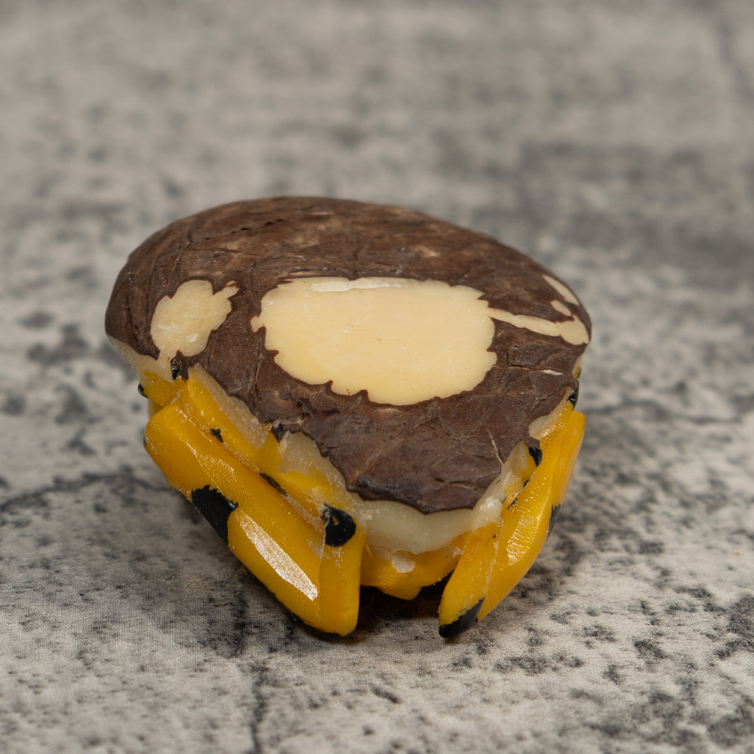 Golden Frog Tagua Carving