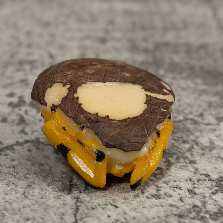 Golden Frog Tagua Carving