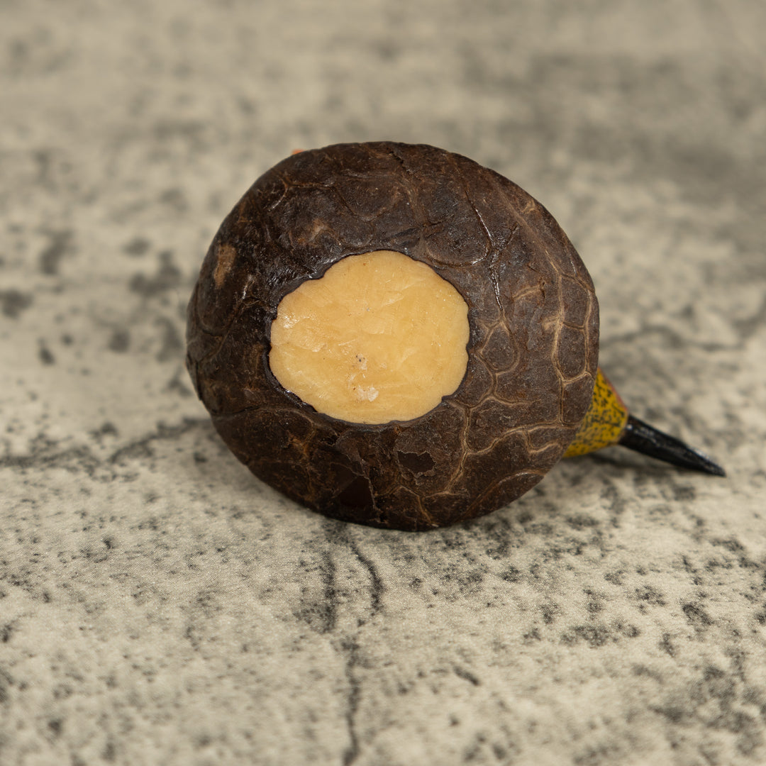Seed Eater Bird Tagua Carving