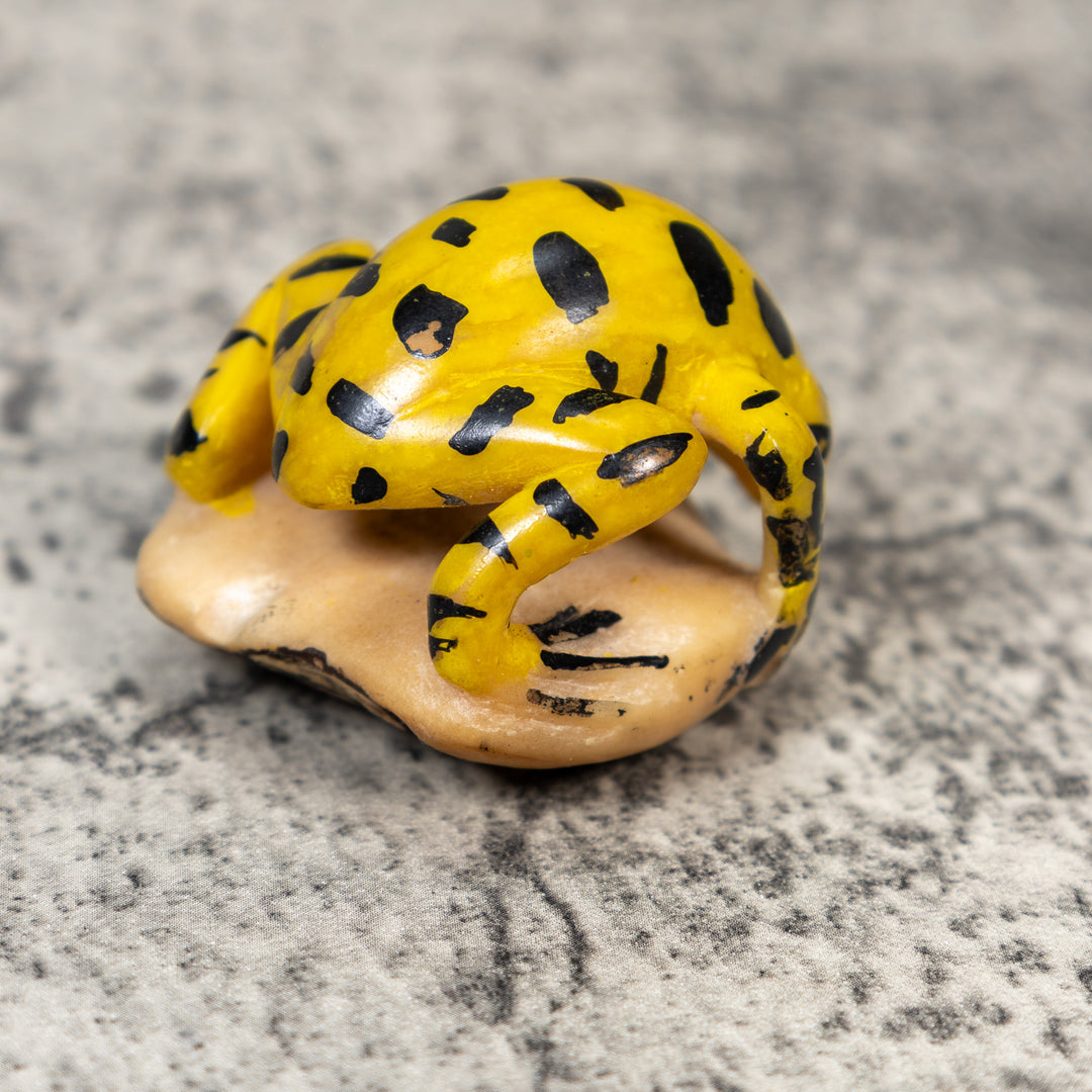 Vintage Poison Dart Frog Tagua Carving