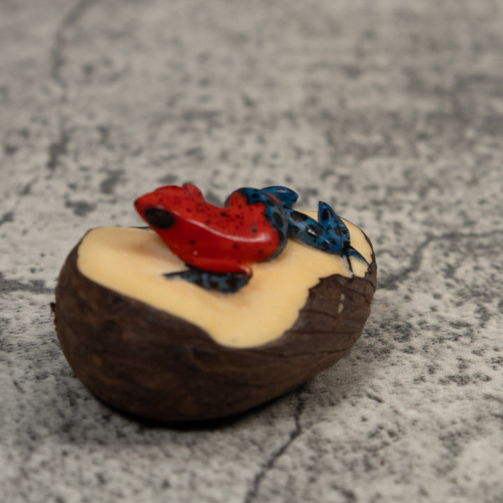Red And Blue Poison Dart Frog Tagua Carving