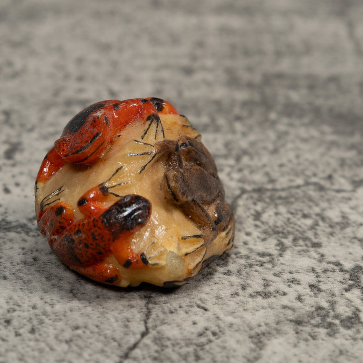 Double Red And Black Poison Dart Frog Tagua Carving