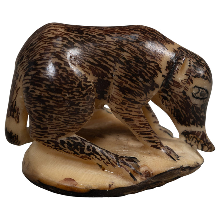Vintage Coatimundi Tagua Carving