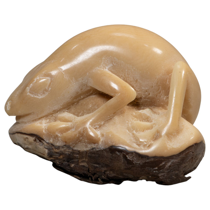 Vintage White Natural Frog Tagua Carving