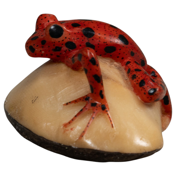 Vintage Black And Red Poison Dart Frog Tagua Carving