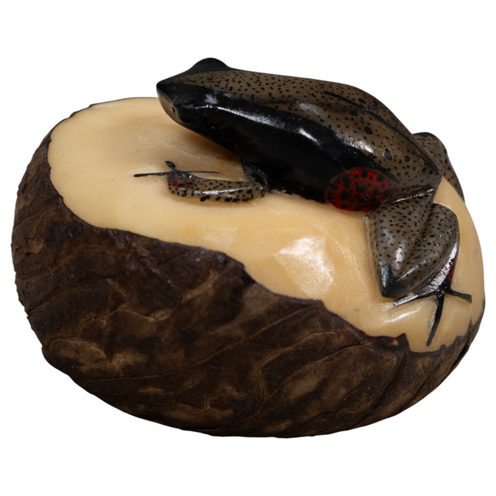 Spotted Poison Dart Frog Tagua Carving