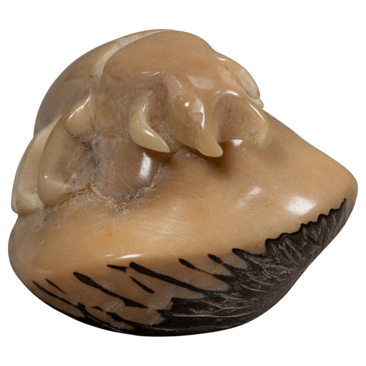 Vintage White Natural Insect Tagua Carving