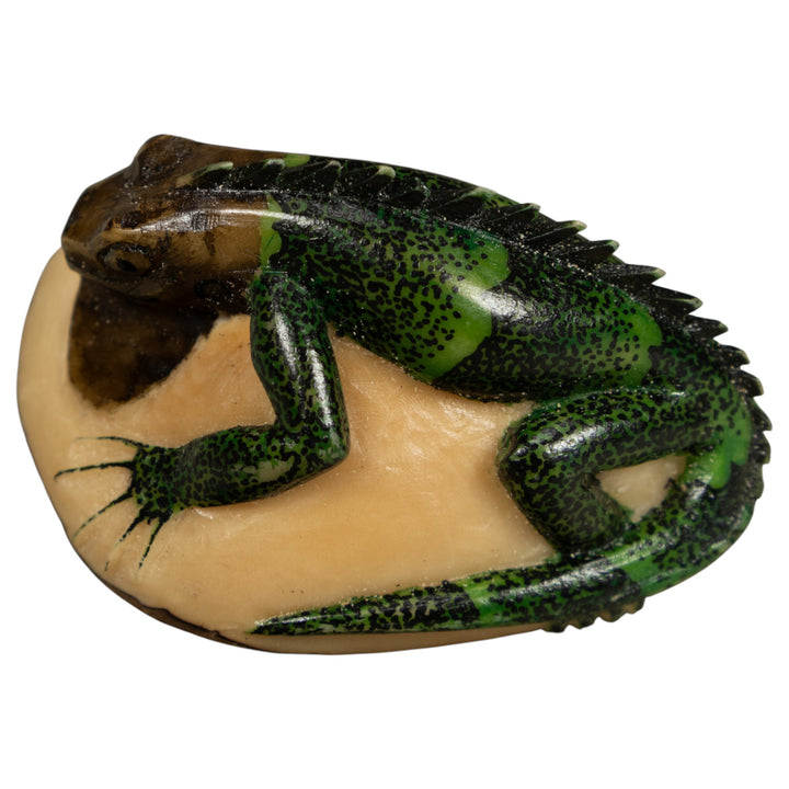 Dark Green Iguana Lizard Tagua Carving
