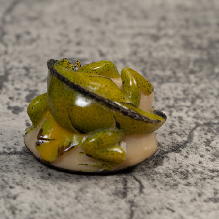 Green And Black Iguana Lizard Tagua Carving