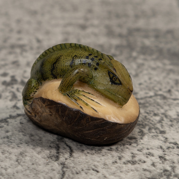 Black And Green Iguana Lizard Tagua Carving