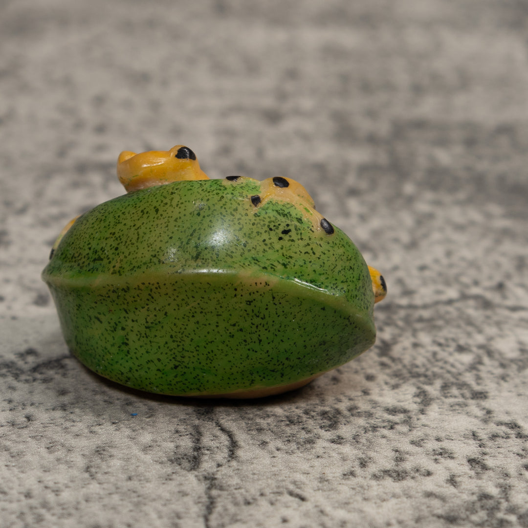 Black And Gold Poison Dart Frog Tagua Carving