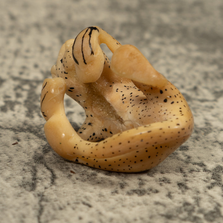 Vintage White Monkey Tagua Carving