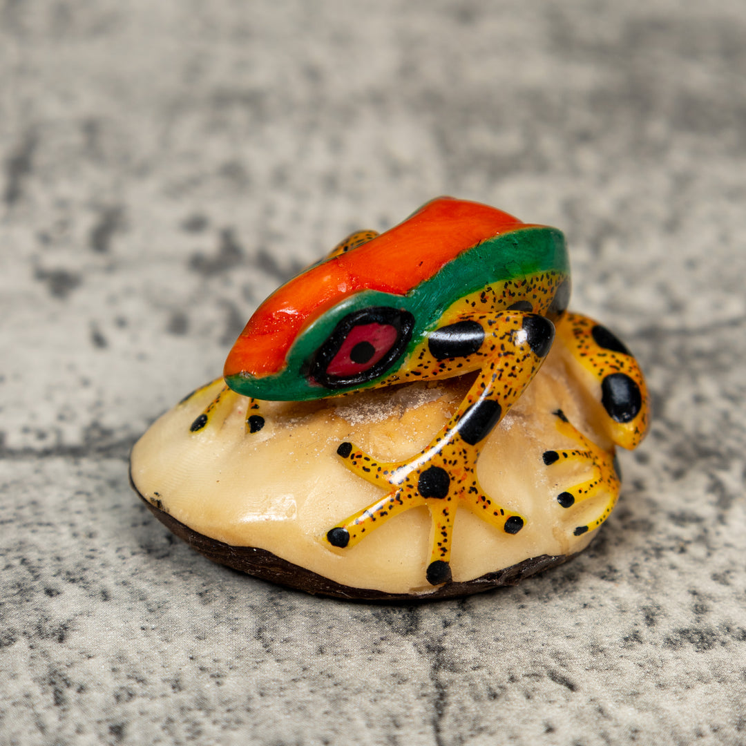 Gold And Black Red Green Poison Dart Frog Tagua Carving