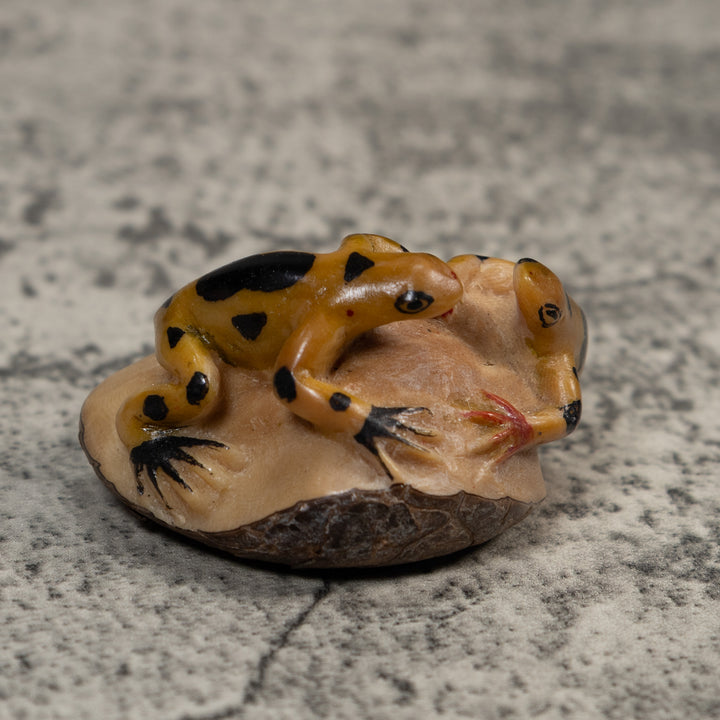 Double Gold And Black Poison Dart Frog Tagua Carving