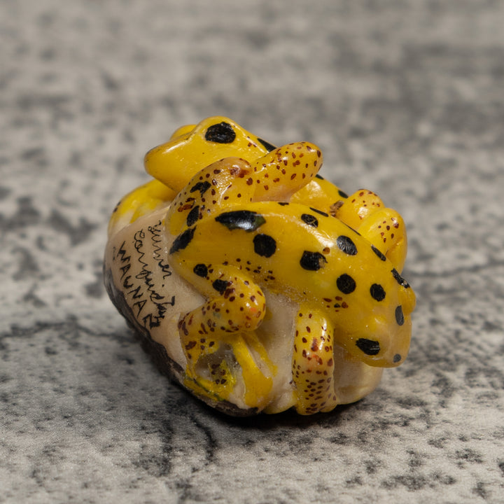 Double Vintage Gold And Black Frog Tagua Carving