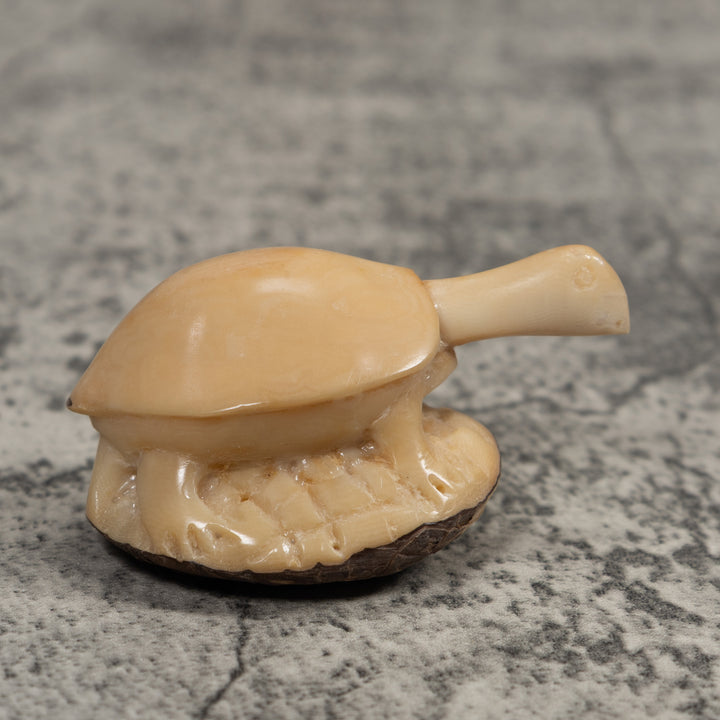 Vintage White Tortise Turtle Tagua Carving