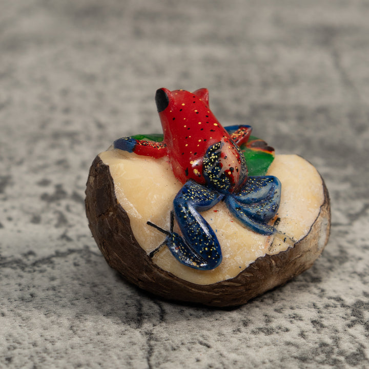 Red And Blue Poison Dart Frog Tagua Carving