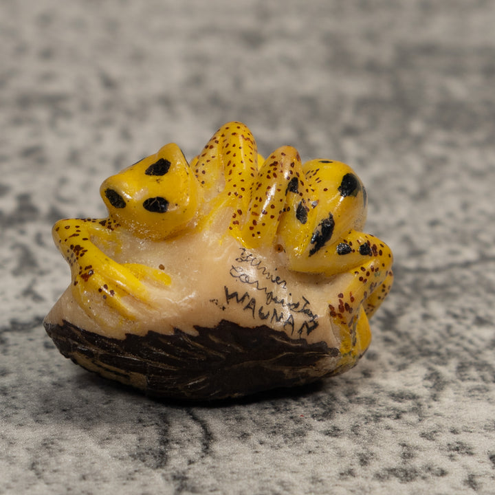 Double Vintage Gold And Black Frog Tagua Carving