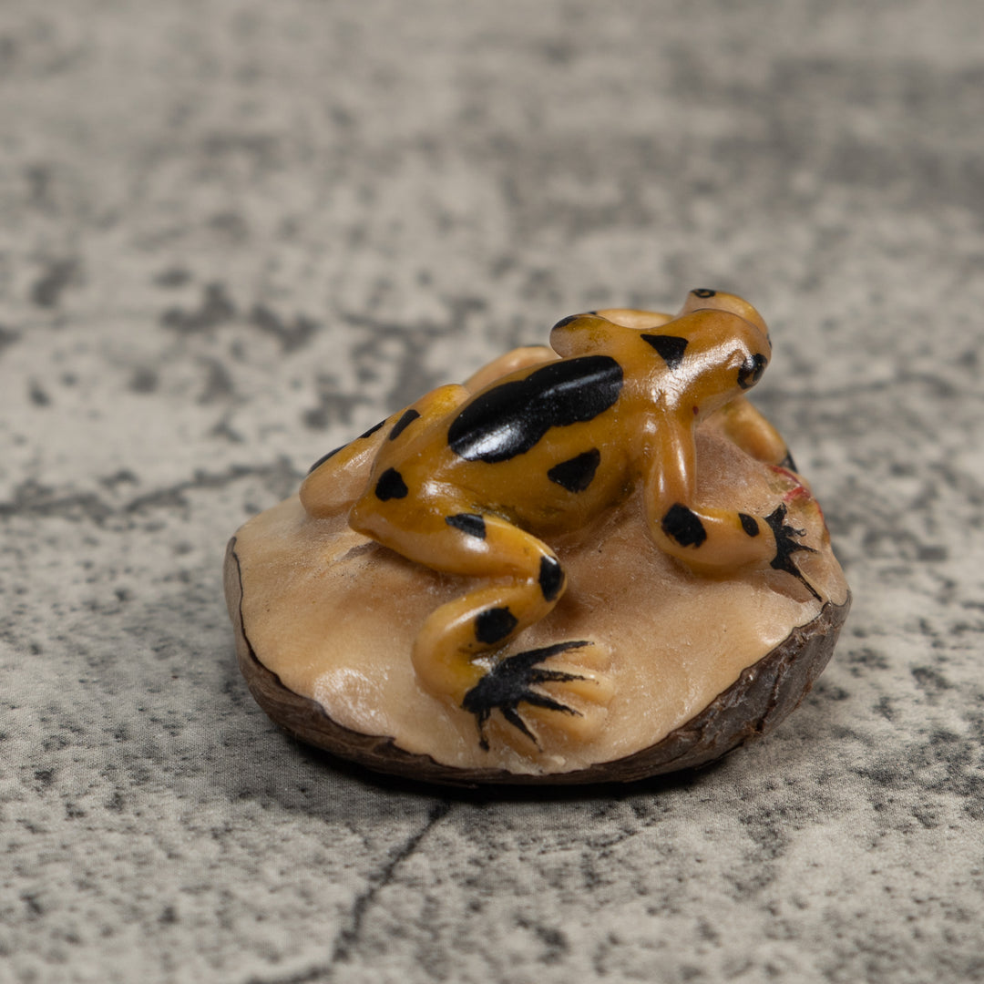 Double Gold And Black Poison Dart Frog Tagua Carving