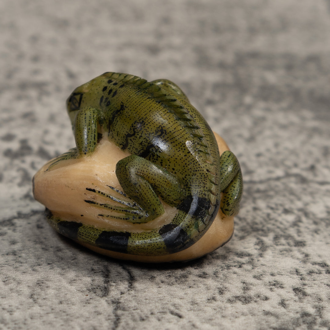 Black And Green Iguana Lizard Tagua Carving