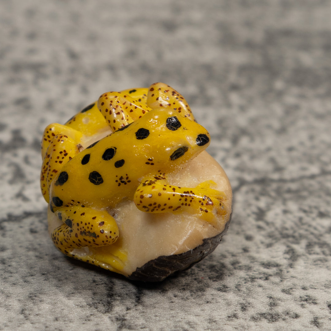 Double Vintage Gold And Black Frog Tagua Carving
