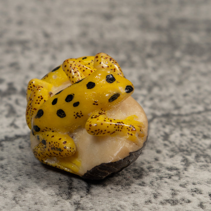 Double Vintage Gold And Black Frog Tagua Carving