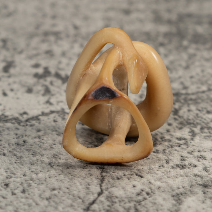 Vintage White Natural Snake Tagua Carving