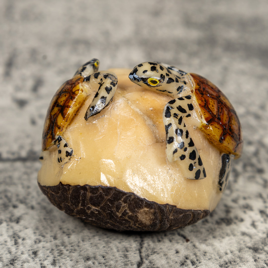 Double Sea Turtle Tagua Carving