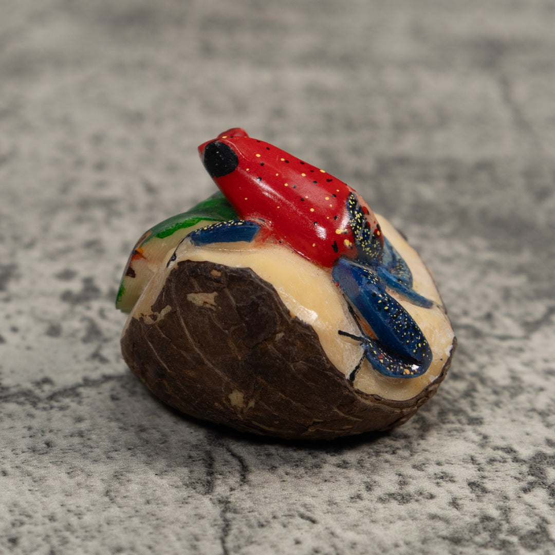 Red And Blue Poison Dart Frog Tagua Carving