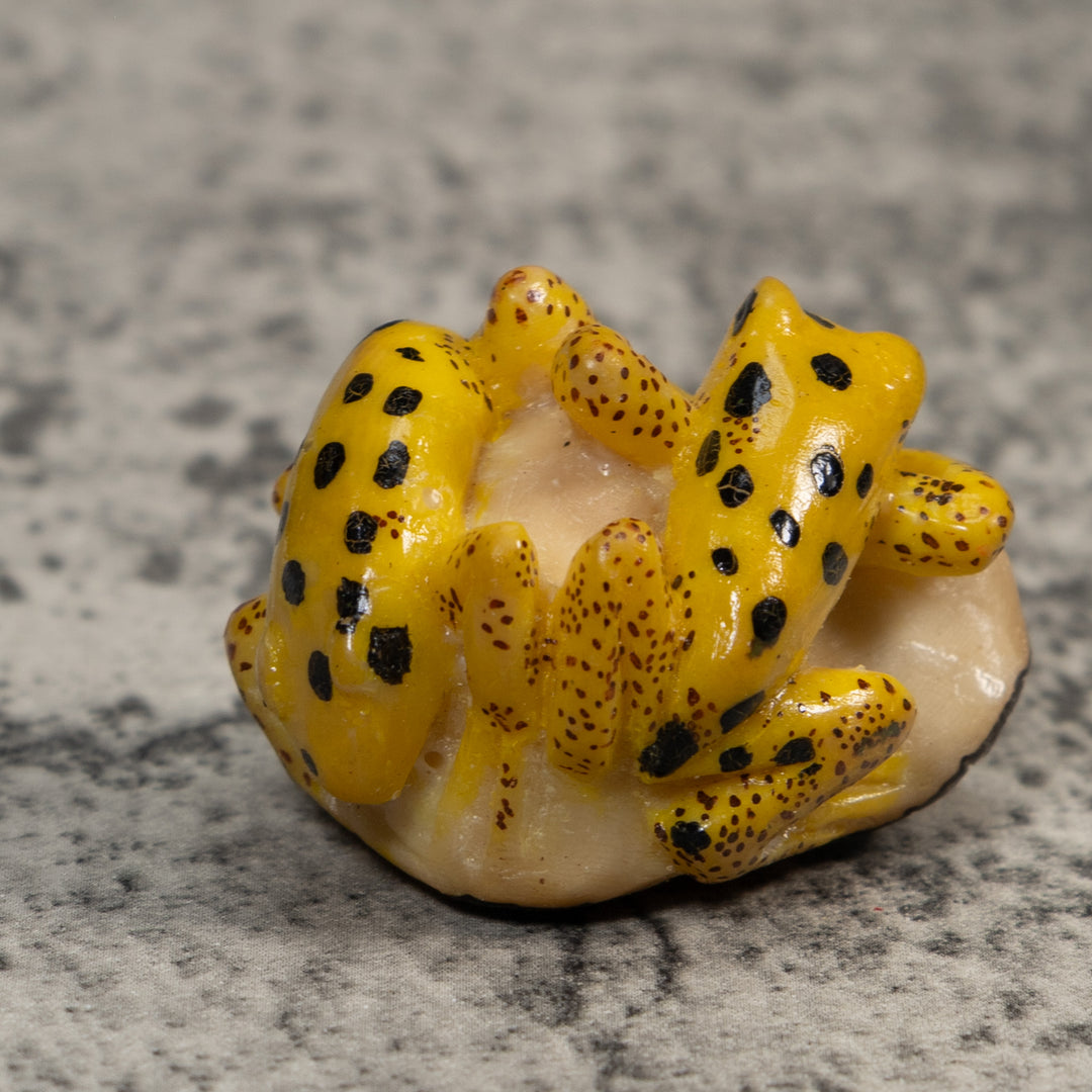 Double Vintage Gold And Black Frog Tagua Carving