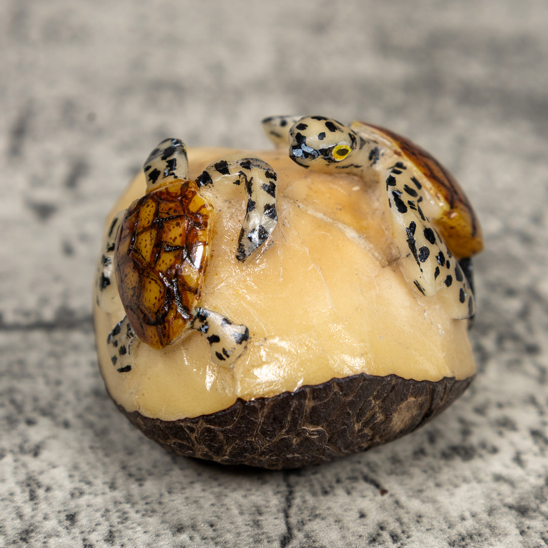Double Sea Turtle Tagua Carving