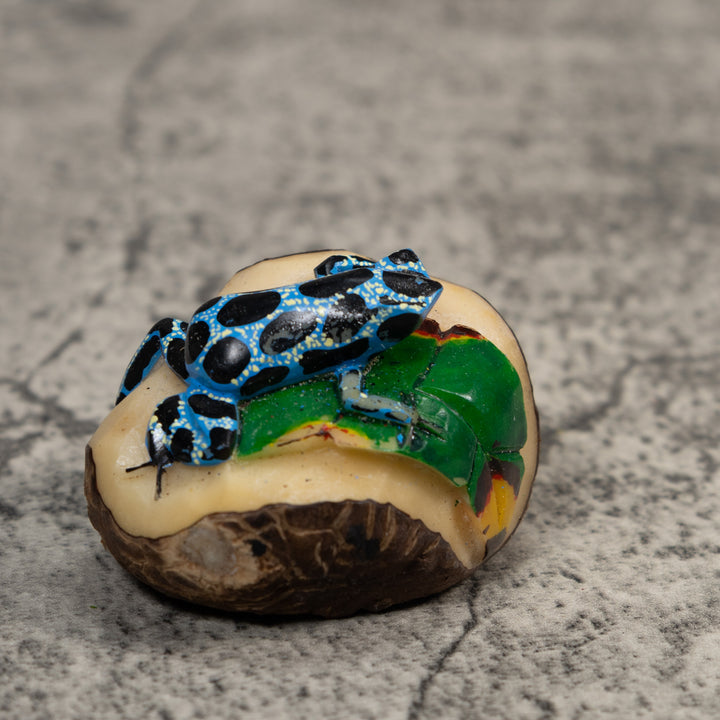 Black Blue And White Poison Dart Frog Tagua Carving