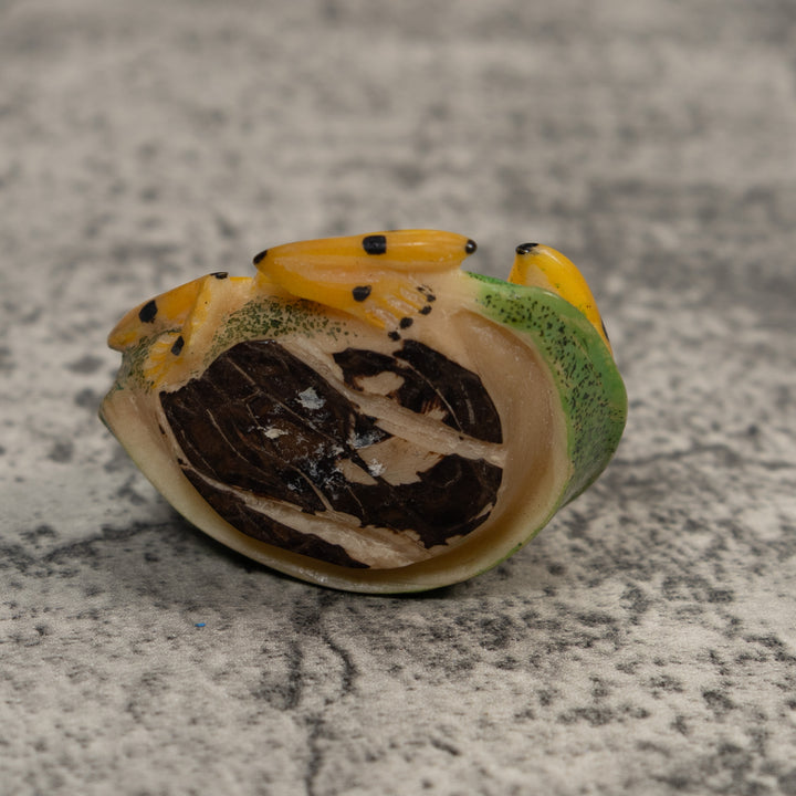 Black And Gold Poison Dart Frog Tagua Carving