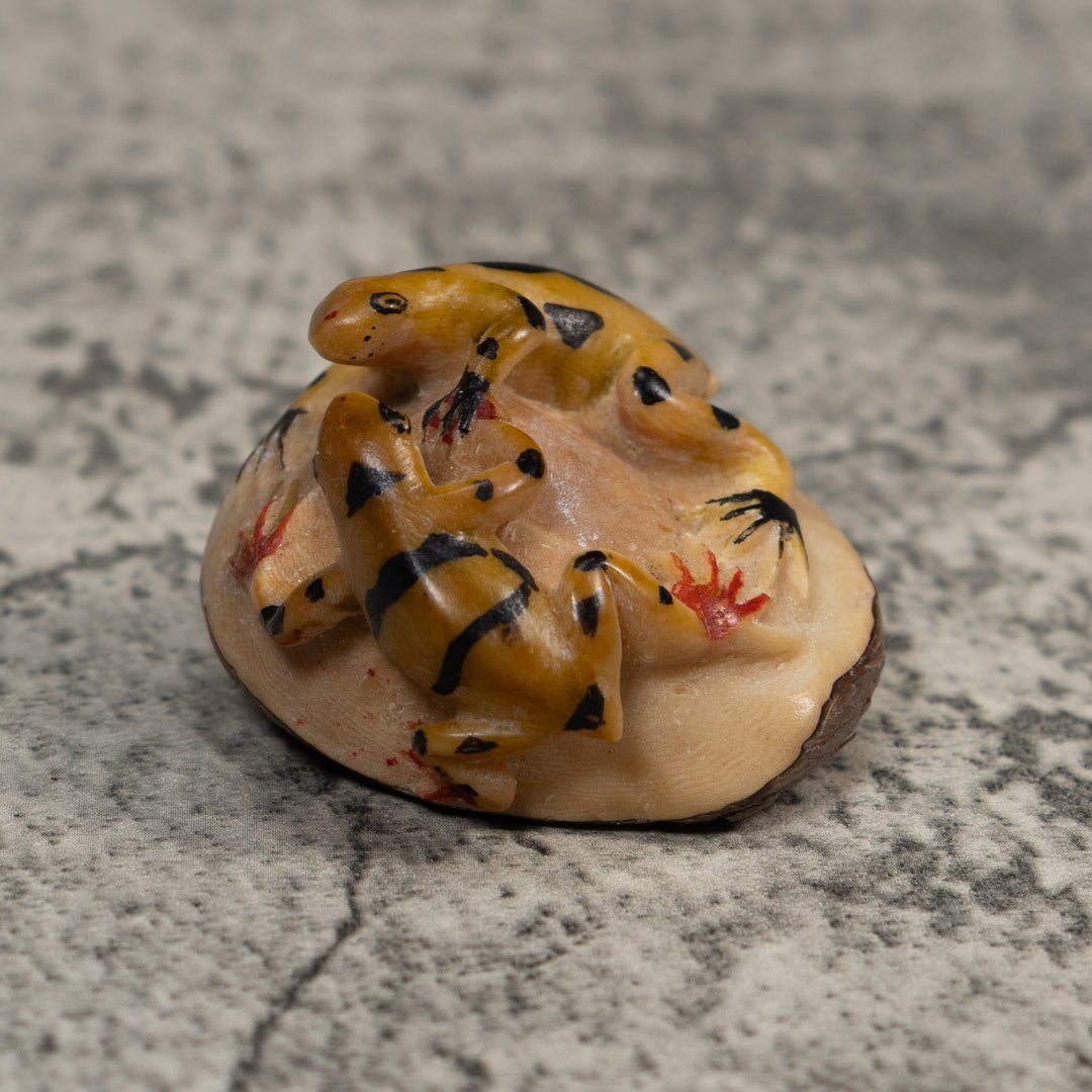 Double Gold And Black Poison Dart Frog Tagua Carving