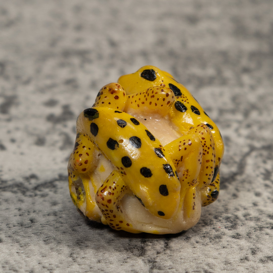 Double Vintage Gold And Black Frog Tagua Carving