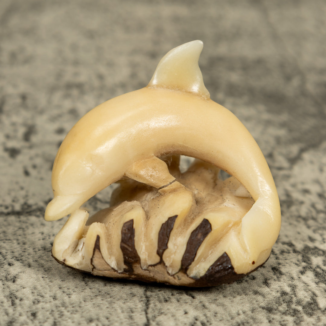 Natural White Dolphin Riding Waves Tagua Carving