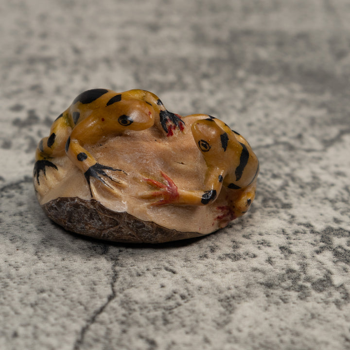 Double Gold And Black Poison Dart Frog Tagua Carving