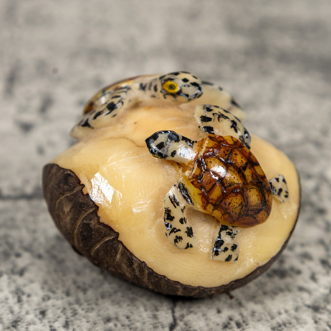 Double Sea Turtle Tagua Carving